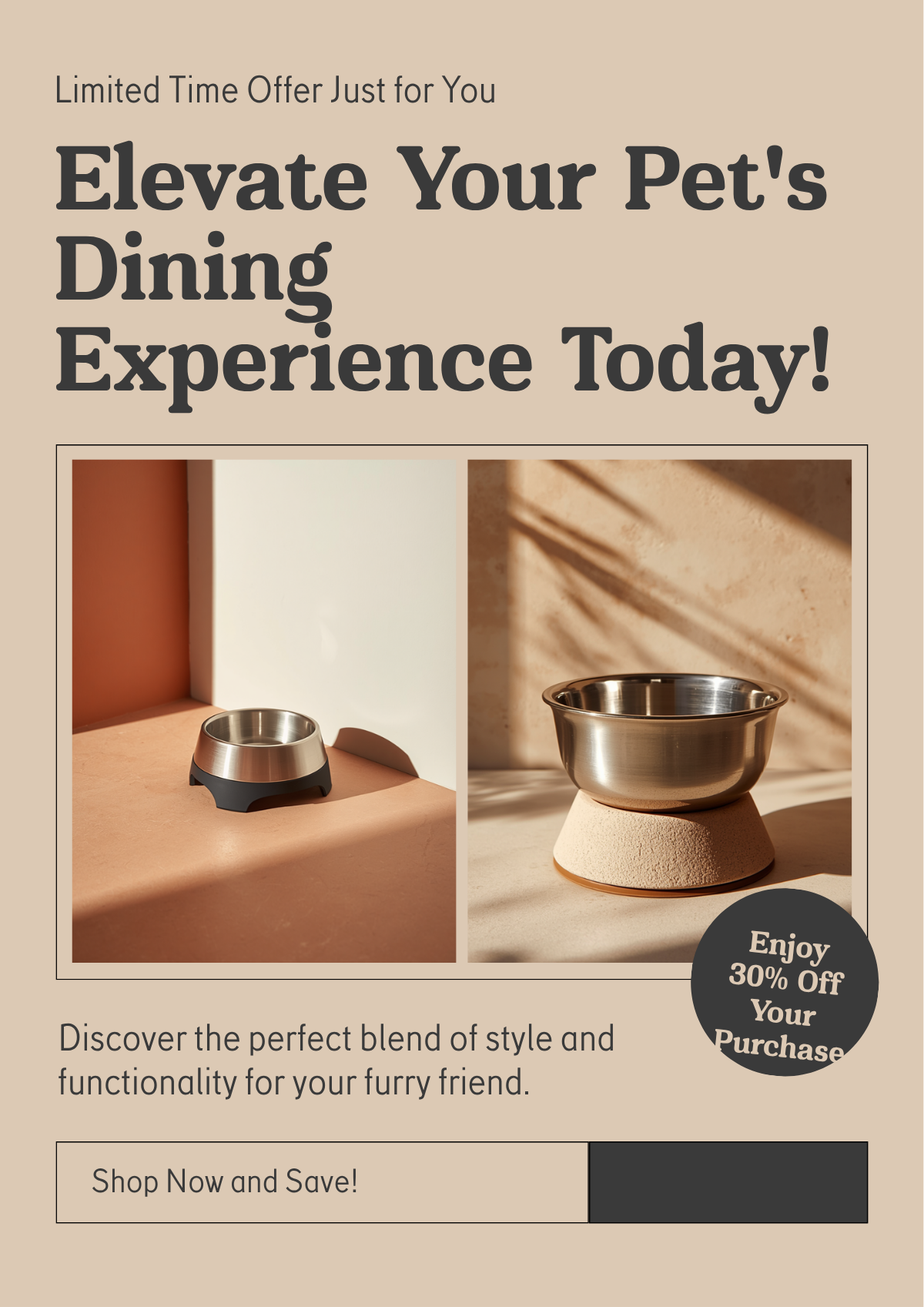 Anti-Tip Elevated Pet Bowl - Loft & Whisker showcase image