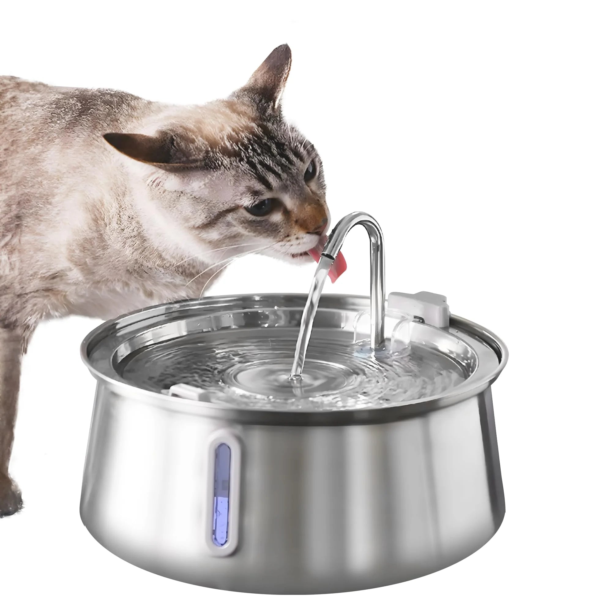Multi-Filter Pet Water Fountain